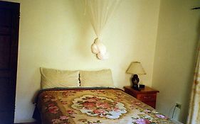 Boston Beach Guesthouse